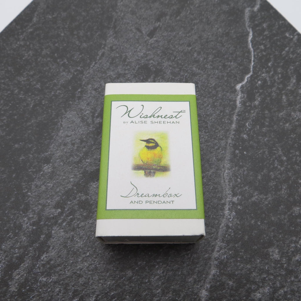 Wishnest By Alise Sheehan Pewter Dream Box and Pendant